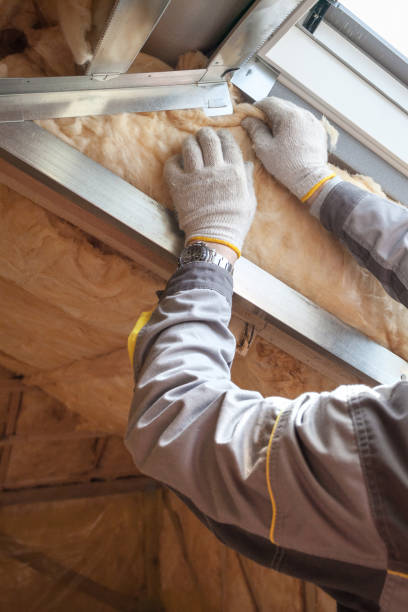 Best Radiant Barrier Insulation  in Bluffton, OH